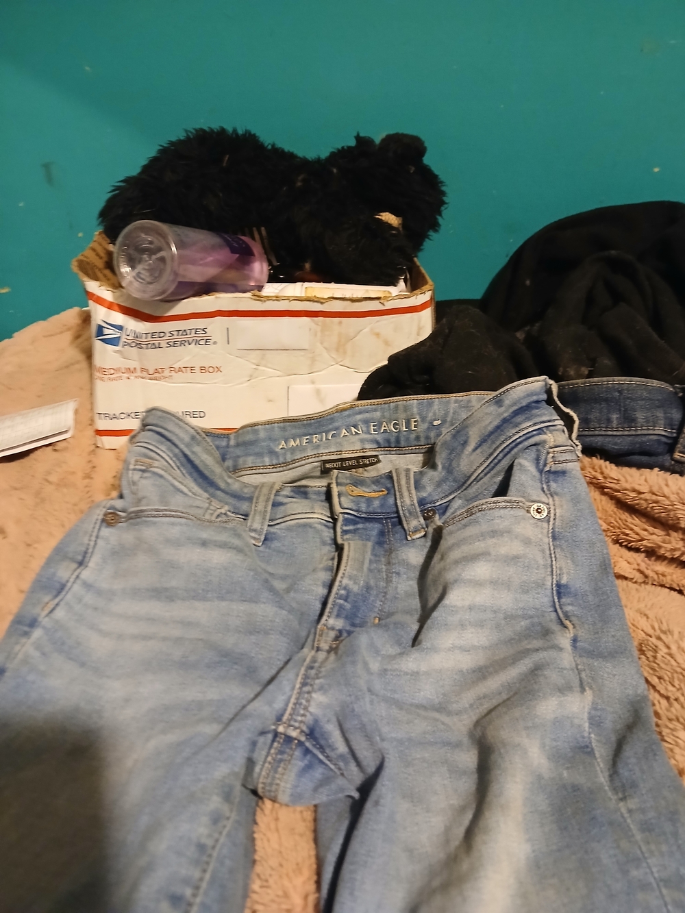 American Eagle Outfitters Light Blue Wide Leg Jeans
